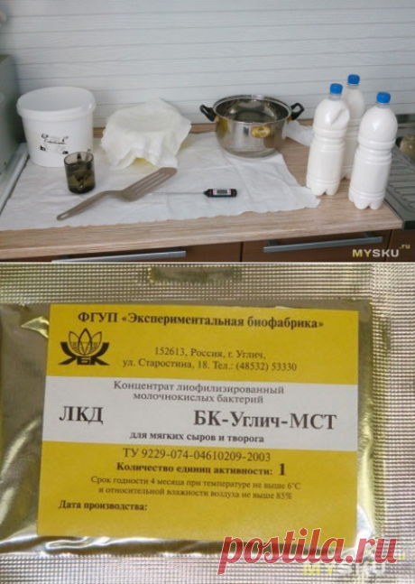 Закваски Углич для изготовления домашнего сыра. Покупай российское!