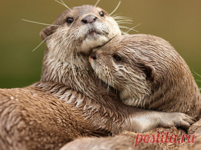 Мой Мир@Mail.Ru