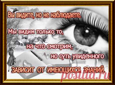 Чем больше мы видим деталей – тем более точно мы понимаем ситуацию и тем больше возможностей у нас на нее повлиять.
