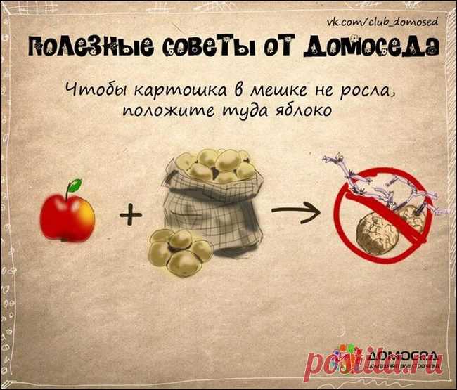 Хозяйке на заметку. | ДОМАШНИЙ ОЧАГ
