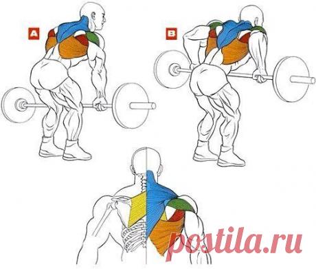 ТЯГА ШТАНГИ В НАКЛОНЕ: ВСЕ ТОНКОСТИ / Спорт Сильных!
