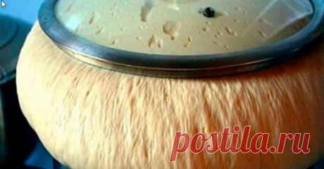 Рецепт теста — просто находка! Готовлю я из этого теста Вкуснейшие пирожки, беляши, булочки, лепешки, пироги с разными начинками, плюшки, ватрушки, пиццу… Рецепт просто отличный!