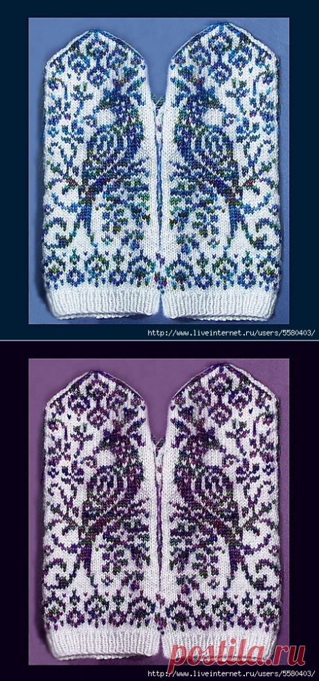 Наталья Морева. Райские птицы