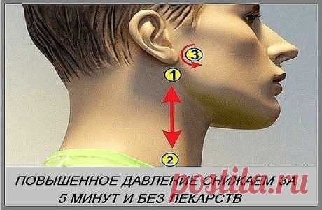 Как снизить давление за 5 минут без лекарств? 
Уникальный метод китайской медицины 
Точки 1 и 2 
Линия начинается немного ниже мочки уха и идет вниз по шее как показано на 
рисунку. Не надавливай на эту линию, а лишь легко проведи по ней от начала 
до конца, нежно касаясь кончиками пальцев. Повтори процедуру 10 раз с обеих 
сторон головы. 
Точка 3 
Следующая линия начинается на высоте мочки уха (примерно 1 см от уха) и двигается дугой по направлению к носу. Легко массажиру...