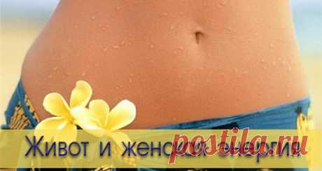 Живот и женская энергия... 
Для многих женщин живот — это закрытая зона, его утягивают, прячут, избегают прикосновений мужчины к нему, потому что современная культура внушила женщине, что живот должен быть как у мужчины с кубик…