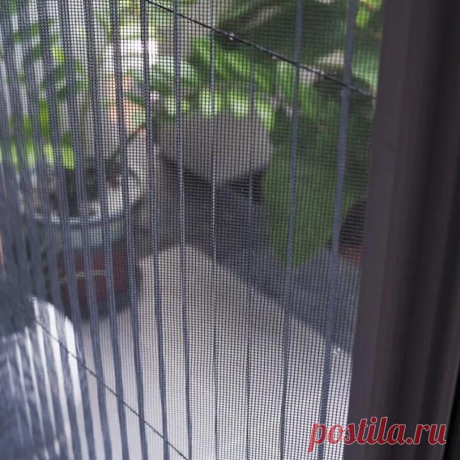 🏡 Москитные сетки от производителя под ключ по вашим размерам
💎 Качественные материалы 😲 Большой опыт работ 💖 Приятные цены
🌍 Санкт-Петербург, улица 2-ой Луч, дом 8, офис 3 📞 +7(812)467-47-55