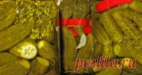 Соления | Самые вкусные кулинарные рецепты