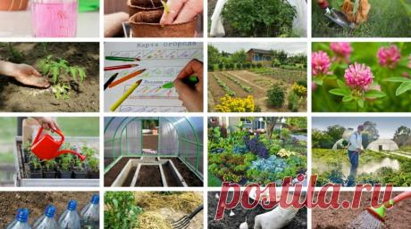 20 обязательных пунктов, которые должен выполнять каждый огородник 


Каждый обладатель дачного участка знает, что работа здесь не останавливается даже зимой. Но в большом потоке дел можно забыть о чем-то важном.

А если вы начинающий огородник, то каких-то вещей вы …