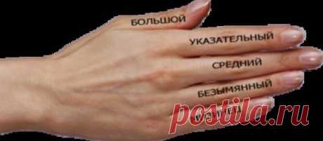 Значение пальцев на руках.... 
Знание значения пальцев на руке может принести немало пользы. Изучив этот раздел хиромантии, вполне реально не только узнать о будущем и успеть исправить его, но и улучшить качество жизни в настоящем…
