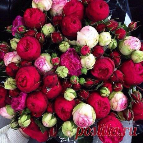 Красивые Картинки