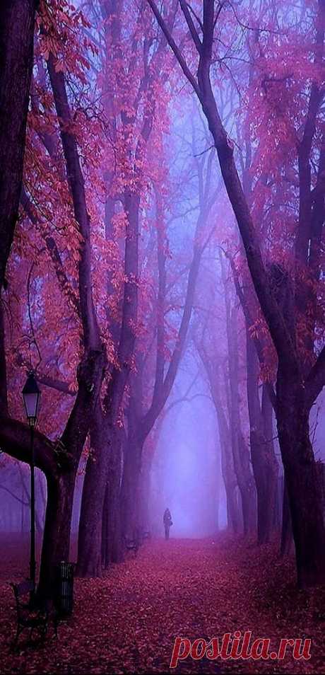 Деликатес, и даже хрупкости