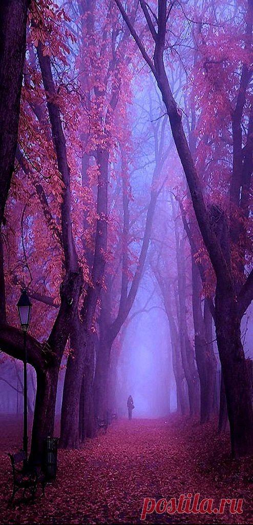 Деликатес, и даже хрупкости