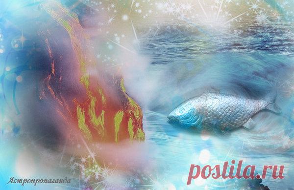 8 ноября 2018. Магия лунных и солнечных суток | Астропропаганда | Яндекс Дзен

Символы, магия, гадания, приметы, сны, талисманы этого дня: 8 ноября 2018 года. 
Автор: астролог Нина Стрелкова. Солнечный день 23-й, символы: Стихии, Зеркальный шар. Лунный день 2-й, символы: Большая рыба, Еда. Луна в этот день в Скорпионе, знаке объединенных ресурсов. День связан с процессом потребления, питанием. Магия дня: примирение врагов, налаживание отношений, определение вредного и полезного.