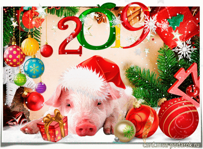 Анимационные открытки с Новым годом 2019. Символ года свинья