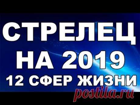 СТРЕЛЕЦ ПРОГНОЗ ГОРОСКОП НА 2019 ГОД на 12 сфер жизни таро расклад