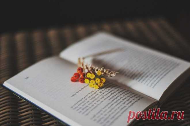 10 книг по саморазвитию, которые нужно прочитать