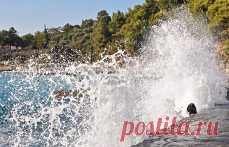 Лето взяло в руки краски...