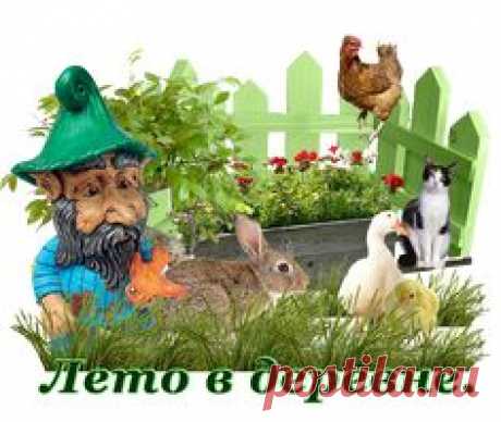 Лето в деревне