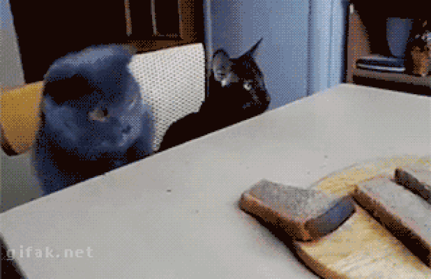 562b917187324.gif (618×400)