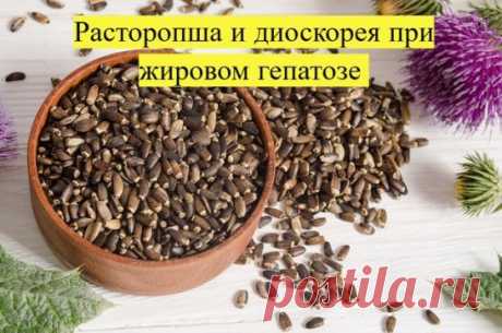 ЖИРОВОЙ ГЕПАТОЗ: какие травы пить
Первое при жировом гепатозе - на 2 месяца (минимум) исключаем из рациона:
- жирное
- острое
- копчености
- сдоба
- газ напитки
- алкоголь в любом виде и количестве
ДАЛЕЕ - СБОР ДЛЯ ПЕЧЕНИ
Второе - начинаем пить сбор трав для печени. Лучше всего из моих трав подходит сбор №9 для печени -  он способствует снятию воспаления печени и желчного пузыря, очищает желчные протоки от застоя желчи, выводит песок и шлаки, препятствует камнеобразованию....