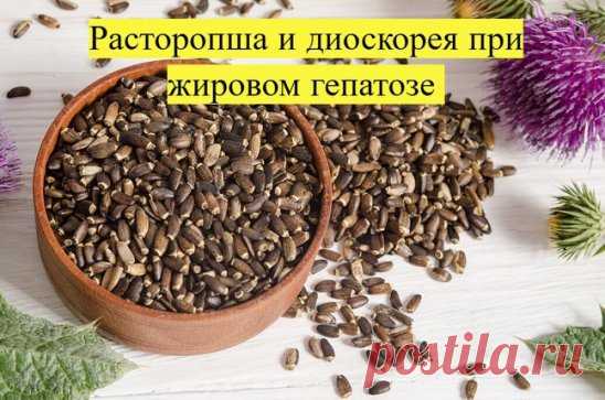 ЖИРОВОЙ ГЕПАТОЗ: какие травы пить
Первое при жировом гепатозе - на 2 месяца (минимум) исключаем из рациона:
- жирное
- острое
- копчености
- сдоба
- газ напитки
- алкоголь в любом виде и количестве
ДАЛЕЕ - СБОР ДЛЯ ПЕЧЕНИ
Второе - начинаем пить сбор трав для печени. Лучше всего из моих трав подходит сбор №9 для печени -  он способствует снятию воспаления печени и желчного пузыря, очищает желчные протоки от застоя желчи, выводит песок и шлаки, препятствует камнеобразованию....
