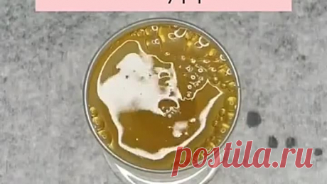 Одноклассники