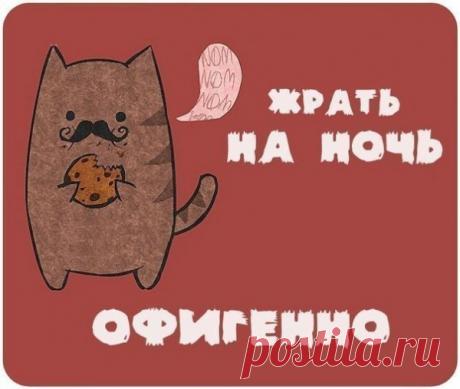 Я не говорю, что ты жирная, просто если бы серенький волчок пришел к тебе кусать за бочок - он бы себе пасть разорвал...
