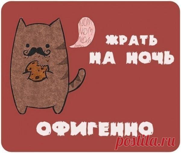 Я не говорю, что ты жирная, просто если бы серенький волчок пришел к тебе кусать за бочок - он бы себе пасть разорвал...