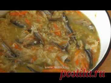 Щи со снетками (Kabarokka)