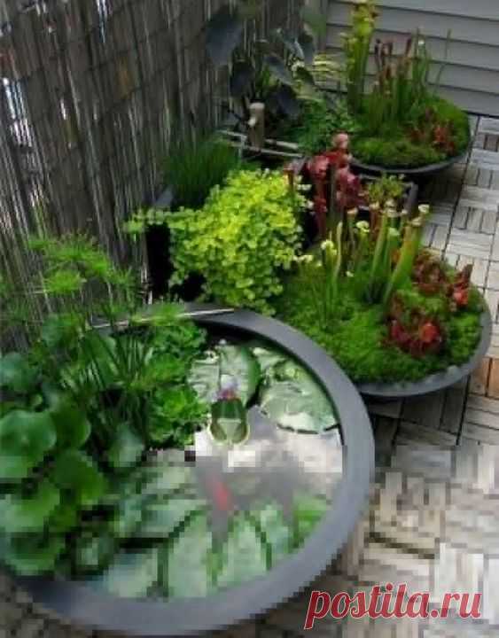19+ Gorgeous Backyard Ponds Water Garden Landscaping Ideas - lmolnar