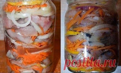 Как засолить сельдь в банке по-голландски :: Кулинарные рецепты