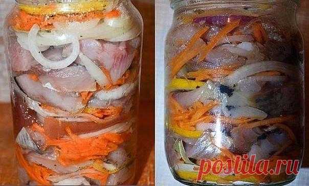 Как засолить сельдь в банке по-голландски :: Кулинарные рецепты