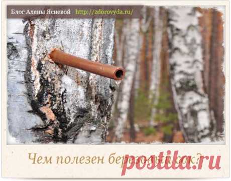Чем полезен берёзовый сок для здоровья человека - секреты применения