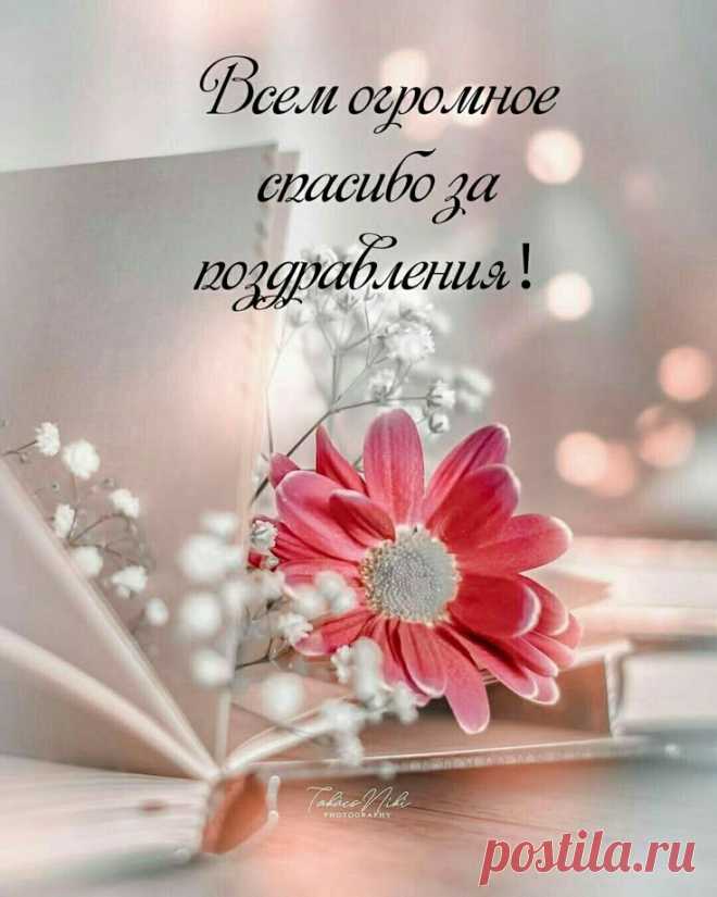 'открытки спасибо за поздравления - скачать бесплатно  https://postila.ru/post/80878923