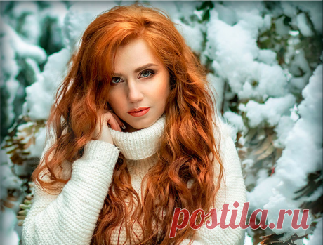 В гостях у НИНОК.