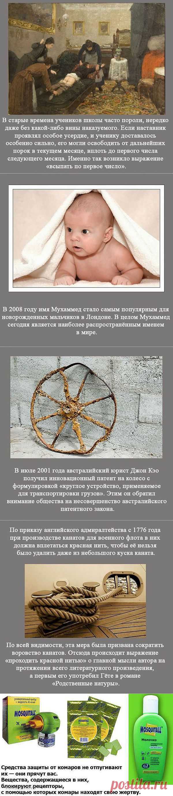 Удивительные факты