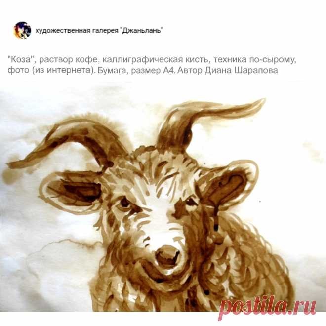 кофейные животные