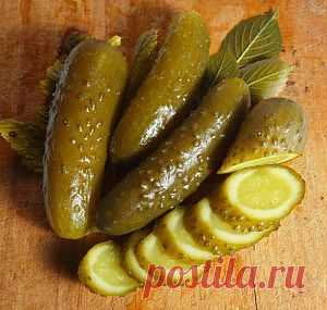 МАРИНОВАННЫЕ ОГУРЧИКИ С ГОРЧИЦЕЙ | Загородная жизнь. Дачи