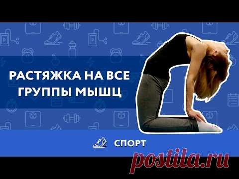 ВИДЕО: Самые эффективные упражнения для растяжки мышц - Лайфхакер
