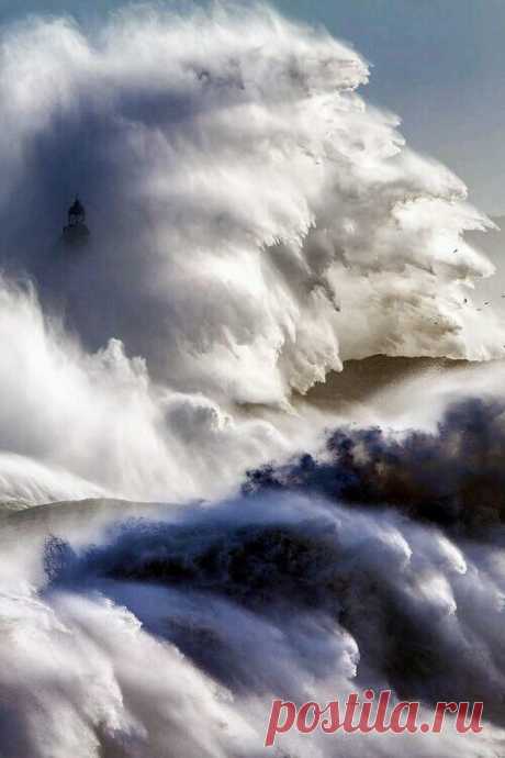 The Perfect Storm
