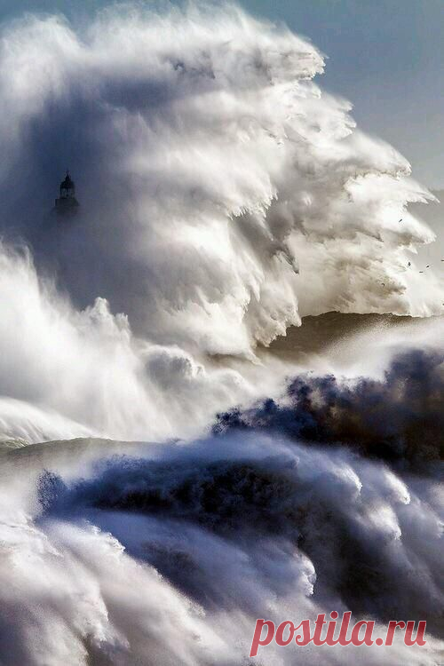 The Perfect Storm