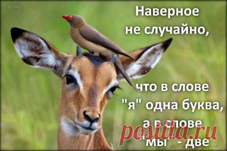 Афоторизмы dj_talay'a