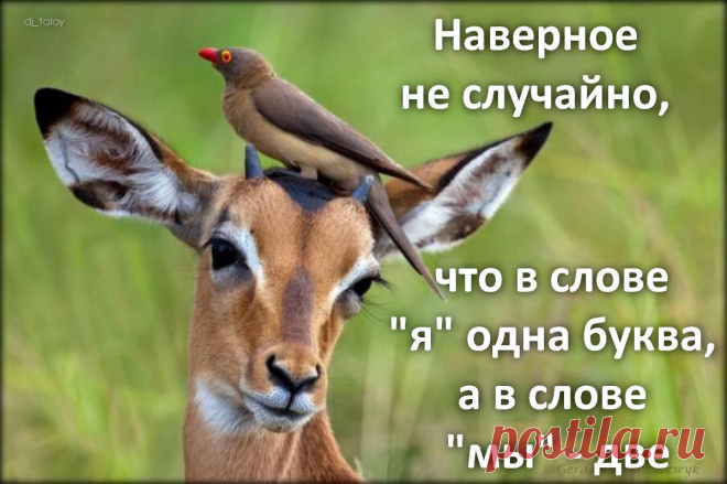 Афоторизмы dj_talay'a