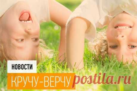 Перевернуть фото в Одноклассниках | Cоциальные сети