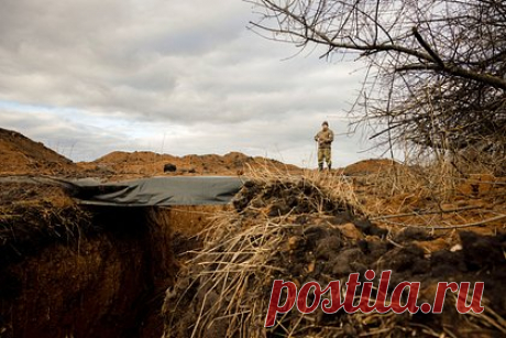 Американцы на Украине заявили о сокрушающих ВСУ «волнах» российских войск. ВСУ вынуждены перебрасывать войска с тыла на передовую, чтобы компенсировать поредевшие ряды пехоты, в то время как российские бойцы наступают сокрушительными «волнами». Об этом сообщили американские журналисты, которые побывали на линии фронта под Авдеевкой и в Угледаре.