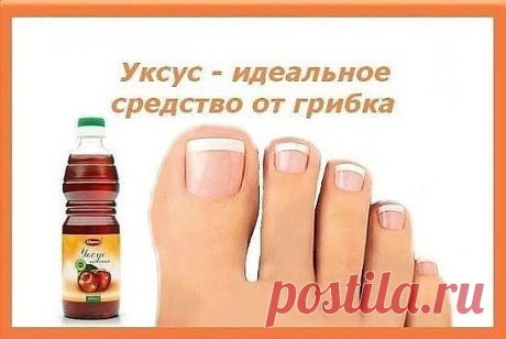 Лечение грибка ногтей уксусом

Онихомикоз – этим термином специалисты называют грибковое заболевание ногтей. Болезнь довольно распространена и поражает людей не зависимо от их пола и возраста.

Лечению поддается с трудом, так как многие виды грибка уже имеют «иммунитет» к лекарственным препаратам. Кроме того, недуг настолько коварен, что даже после выздоровления может возобновиться

Грибок ногтей: кто в зоне риска

Грибковые заболевания являются инфекционными и передаются ...
