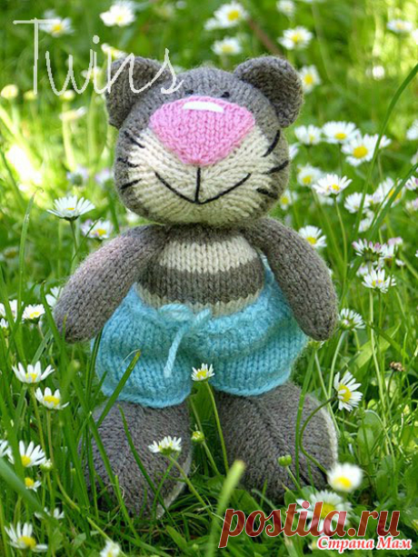 Кот спицами