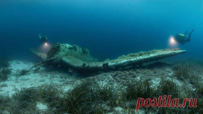 Удивительный водный мир — Мания.инфо