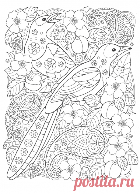 Птицы с цветами - Птицы - Раскраски антистресс