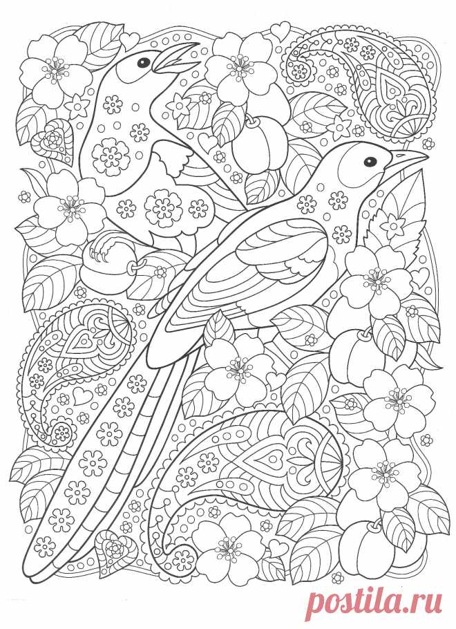 Птицы с цветами - Птицы - Раскраски антистресс